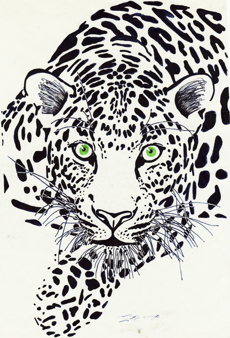 Wildlife drawing