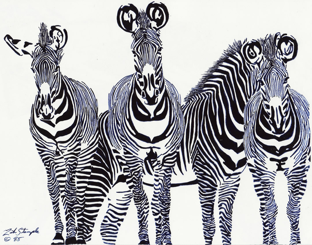 Wildlife drawing