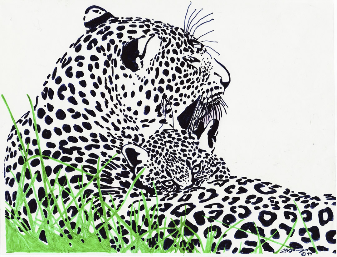 Wildlife drawing