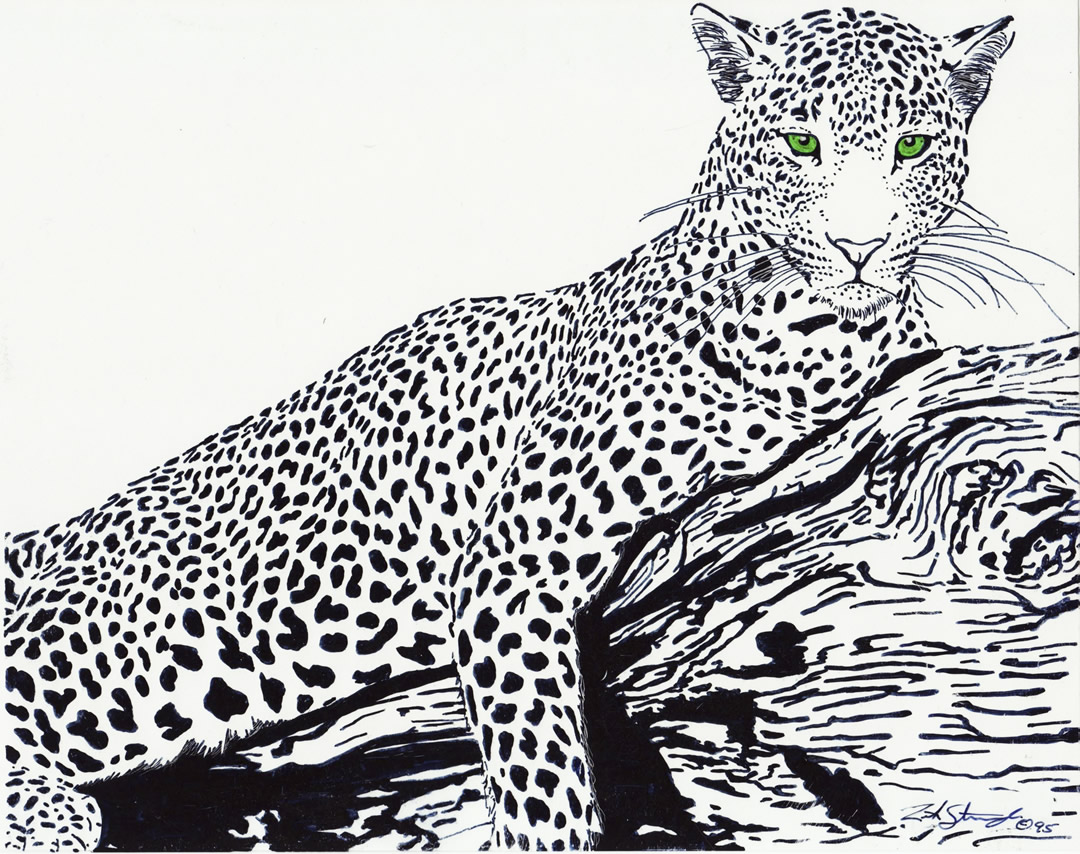 Wildlife drawing