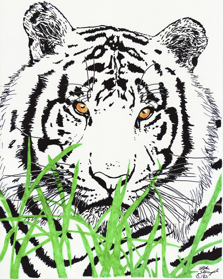 Wildlife drawing