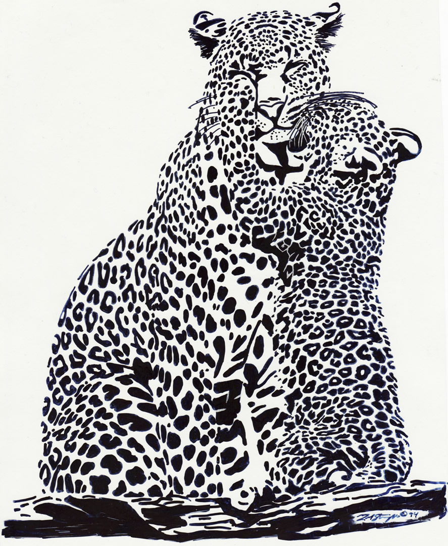 Wildlife drawing