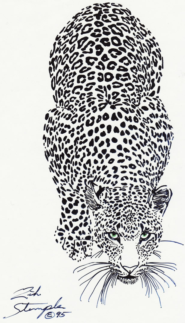 Wildlife drawing