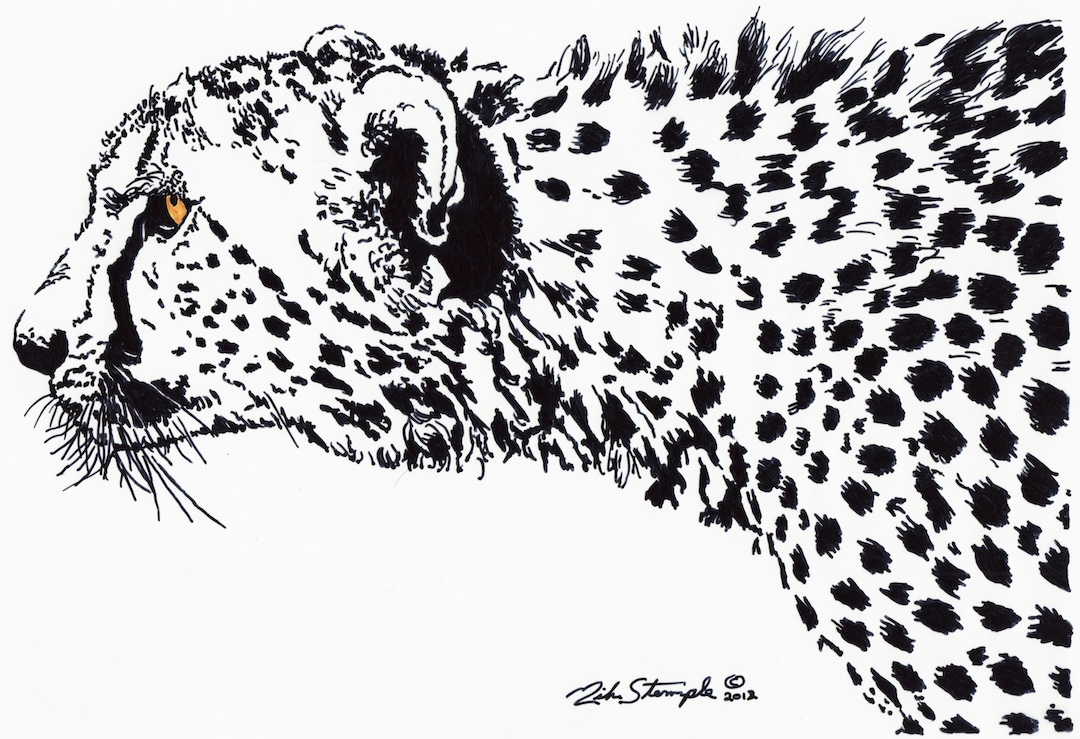 Drawing